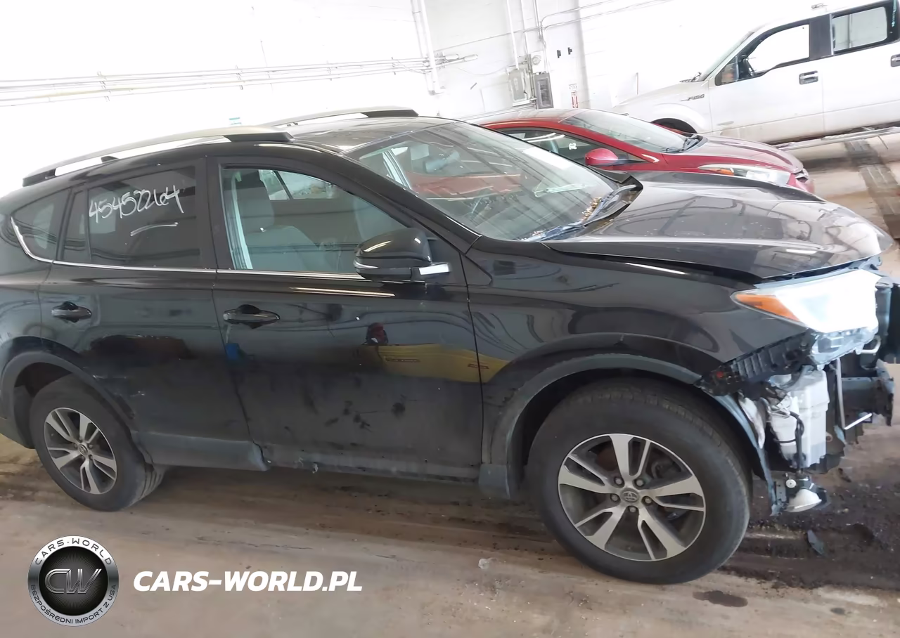 2016 Toyota Rav4 Xle VIN:2T3RFREV6GW495339 - 13