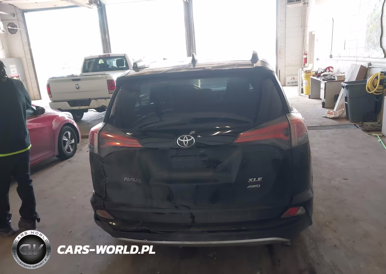 2016 Toyota Rav4 Xle VIN:2T3RFREV6GW495339 - 16