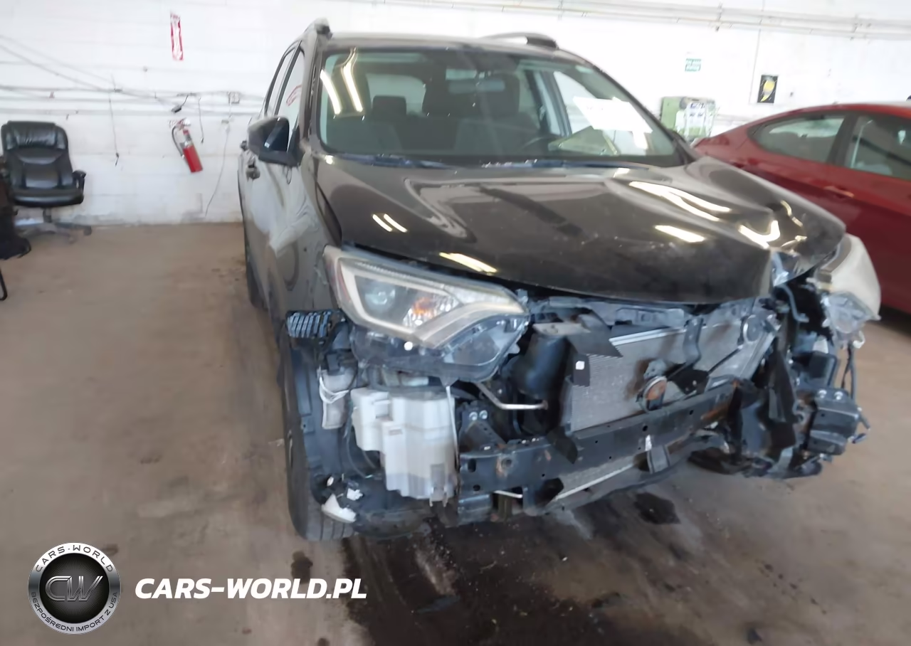 2016 Toyota Rav4 Xle VIN:2T3RFREV6GW495339 - 6