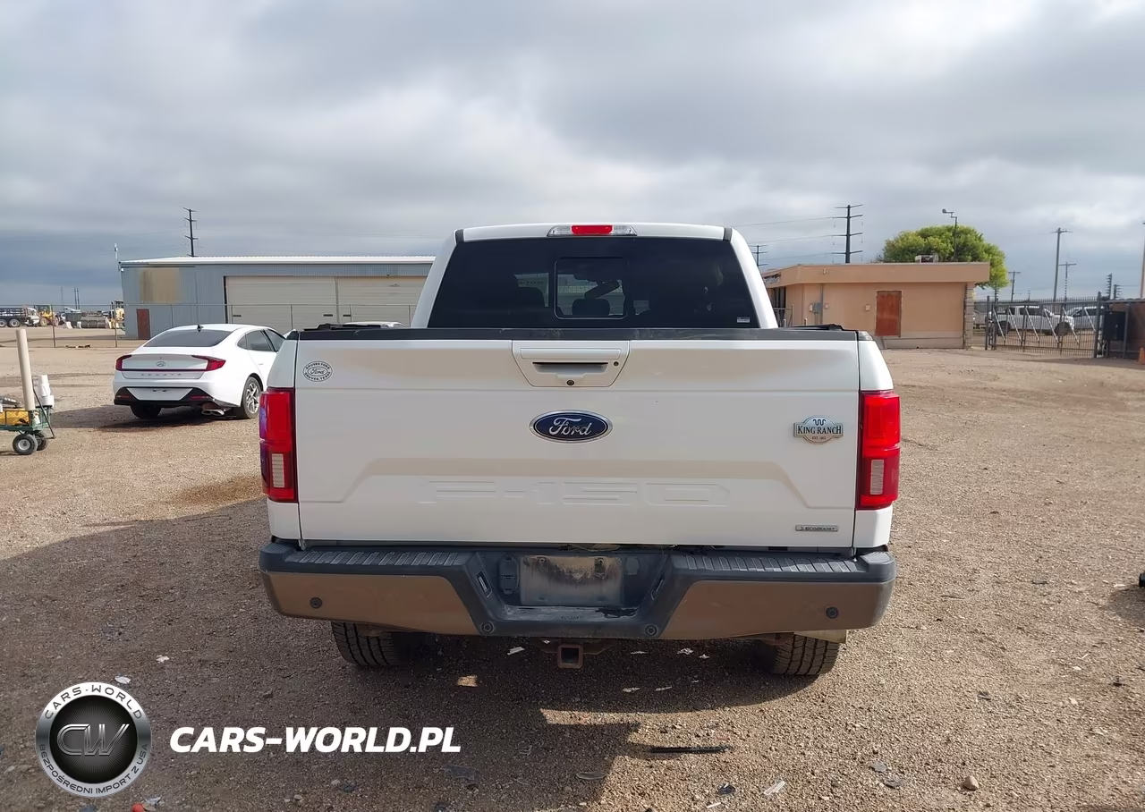 2020 Ford F-150 King Ranch VIN:1FTEW1E47LFC23000 - 17