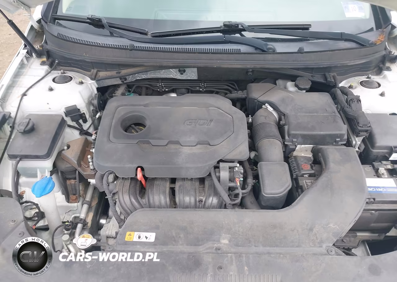 2015 Hyundai Sonata Se VIN:5NPE24AF0FH231258 - 10