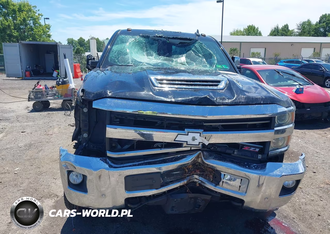 2018 Chevrolet Silverado 2500Hd Ltz VIN:1GC1KWEY5JF193213 - 6
