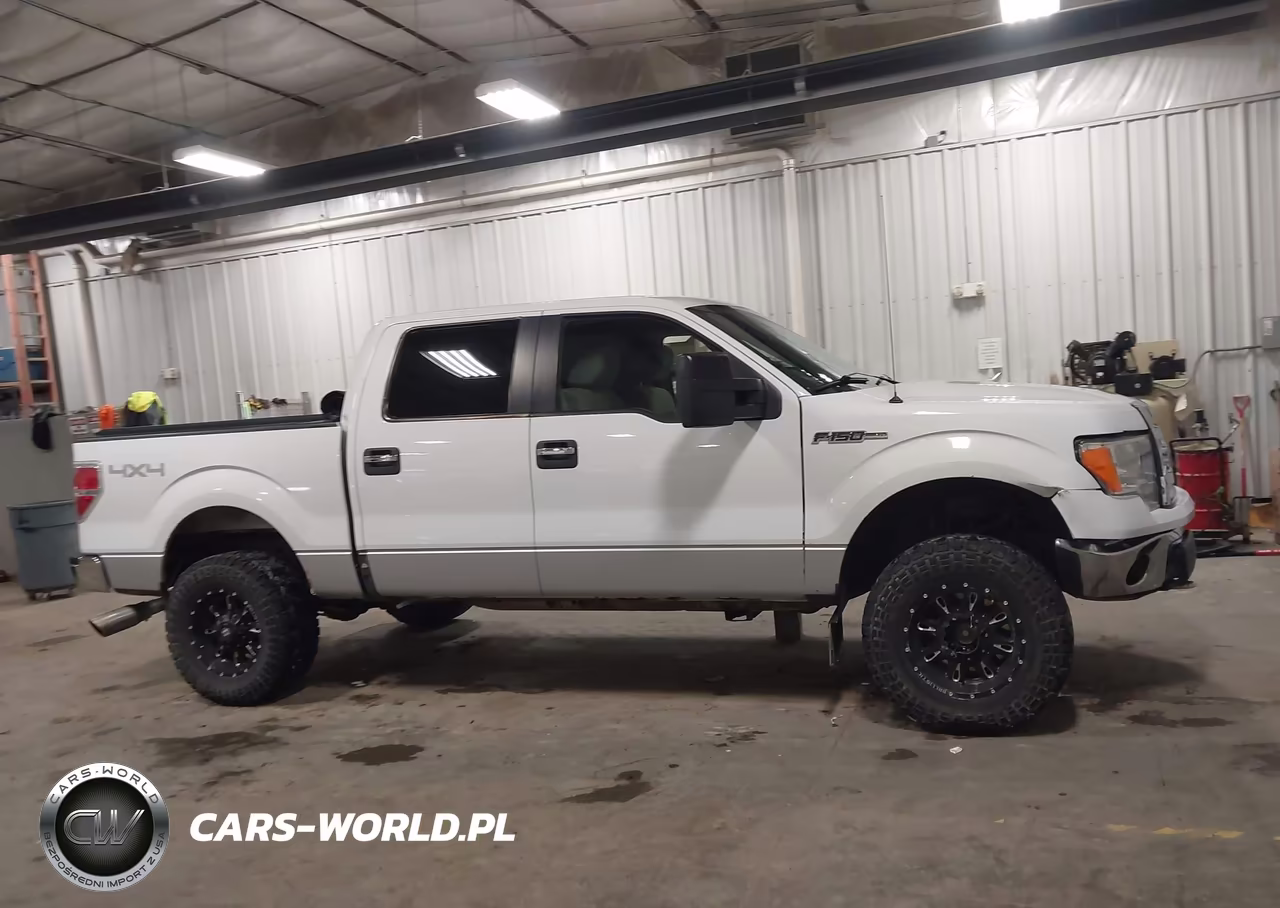 2010 Ford F-150 Fx4-Harley-Davidson-King Ranch-Lariat-Platinum-Xl-Xlt VIN:1FTFW1EV9AKA17792 - 13