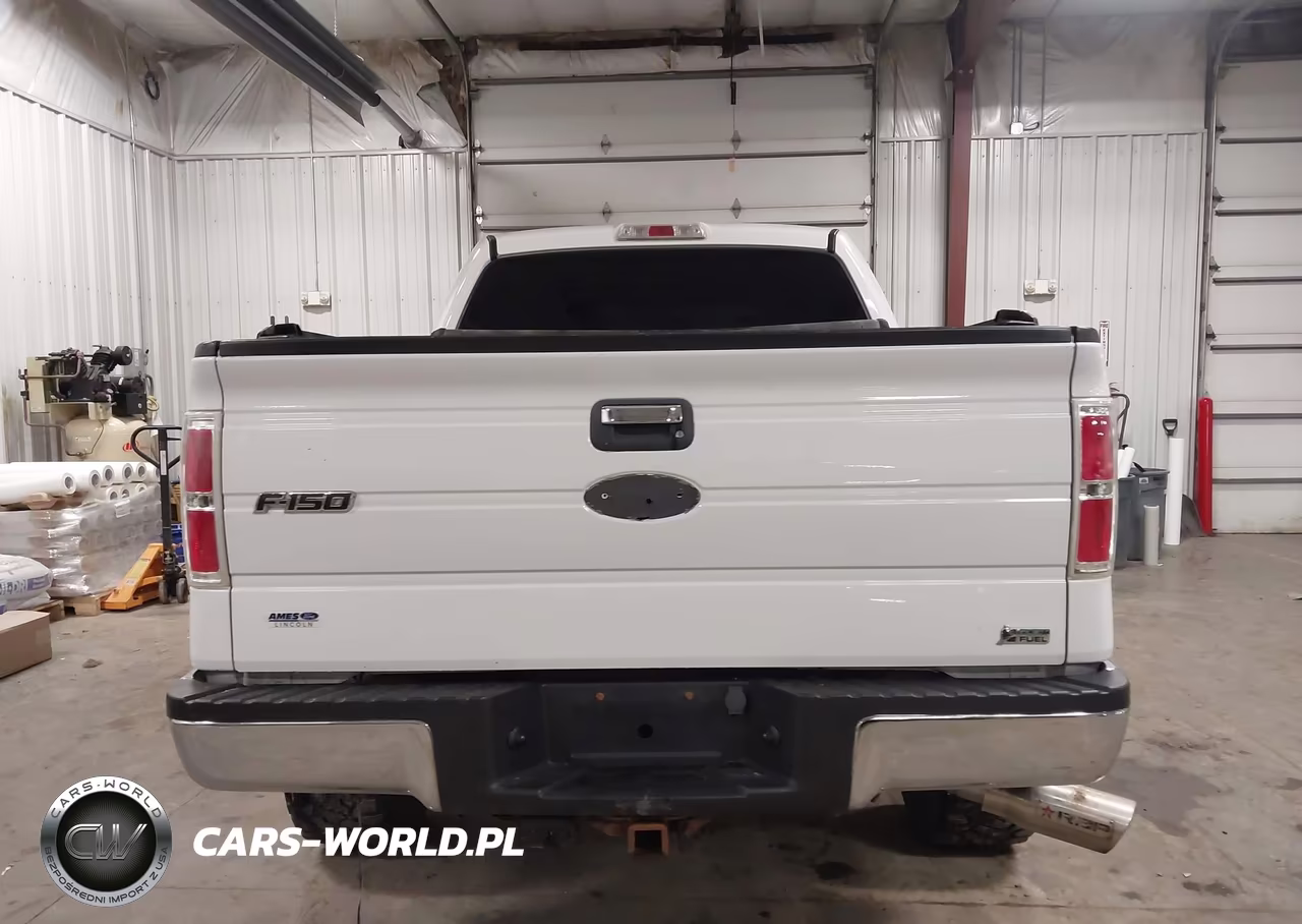 2010 Ford F-150 Fx4-Harley-Davidson-King Ranch-Lariat-Platinum-Xl-Xlt VIN:1FTFW1EV9AKA17792 - 16