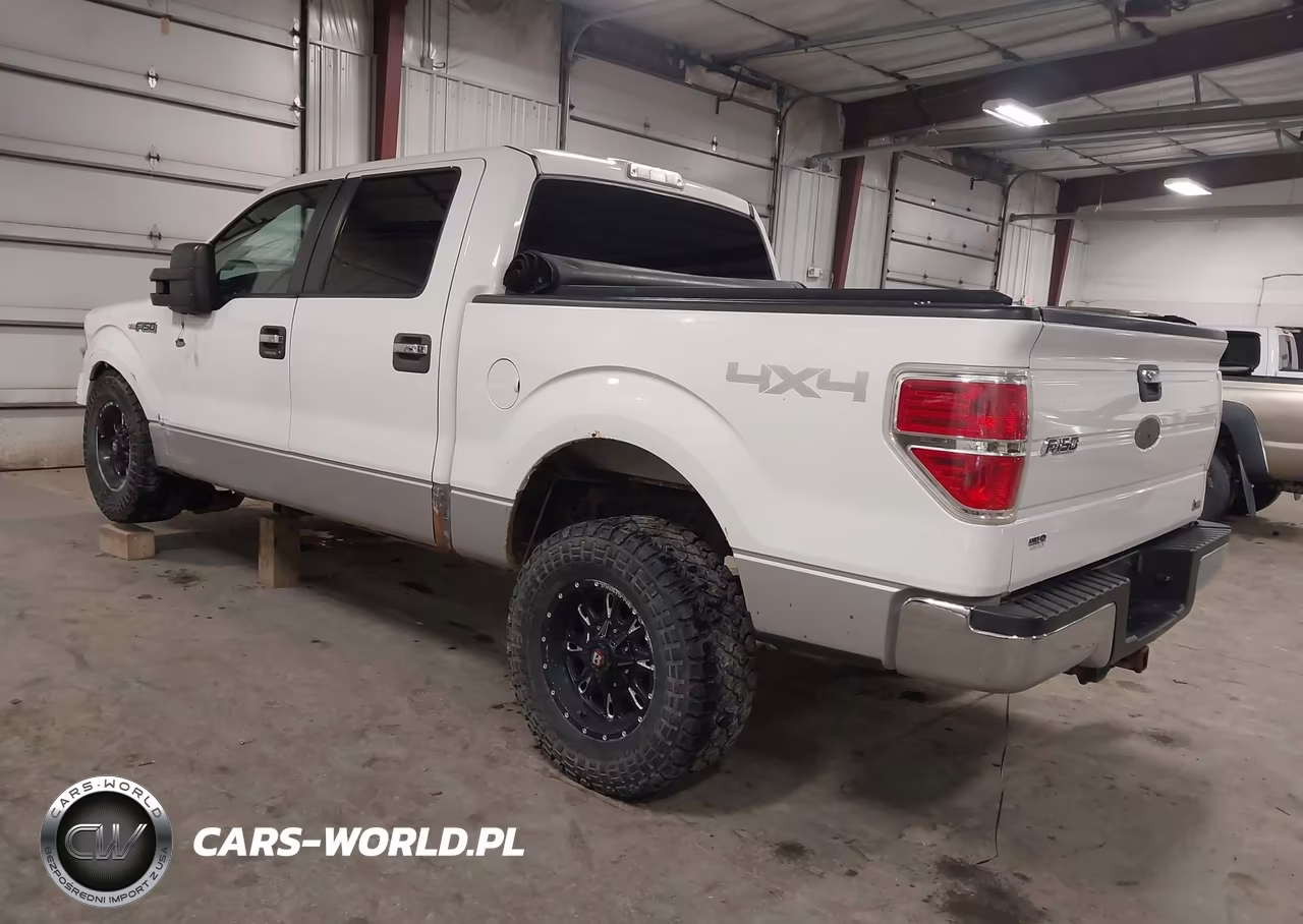 2010 Ford F-150 Fx4-Harley-Davidson-King Ranch-Lariat-Platinum-Xl-Xlt VIN:1FTFW1EV9AKA17792 - 3