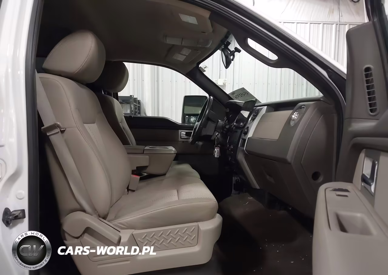 2010 Ford F-150 Fx4-Harley-Davidson-King Ranch-Lariat-Platinum-Xl-Xlt VIN:1FTFW1EV9AKA17792 - 5