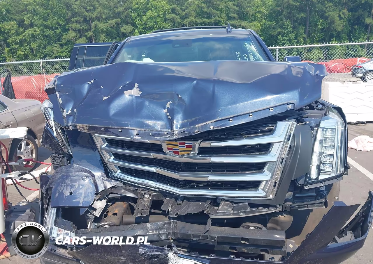 2019 Cadillac Escalade Esv Premium Luxury VIN:1GYS4JKJ1KR168019 - 12