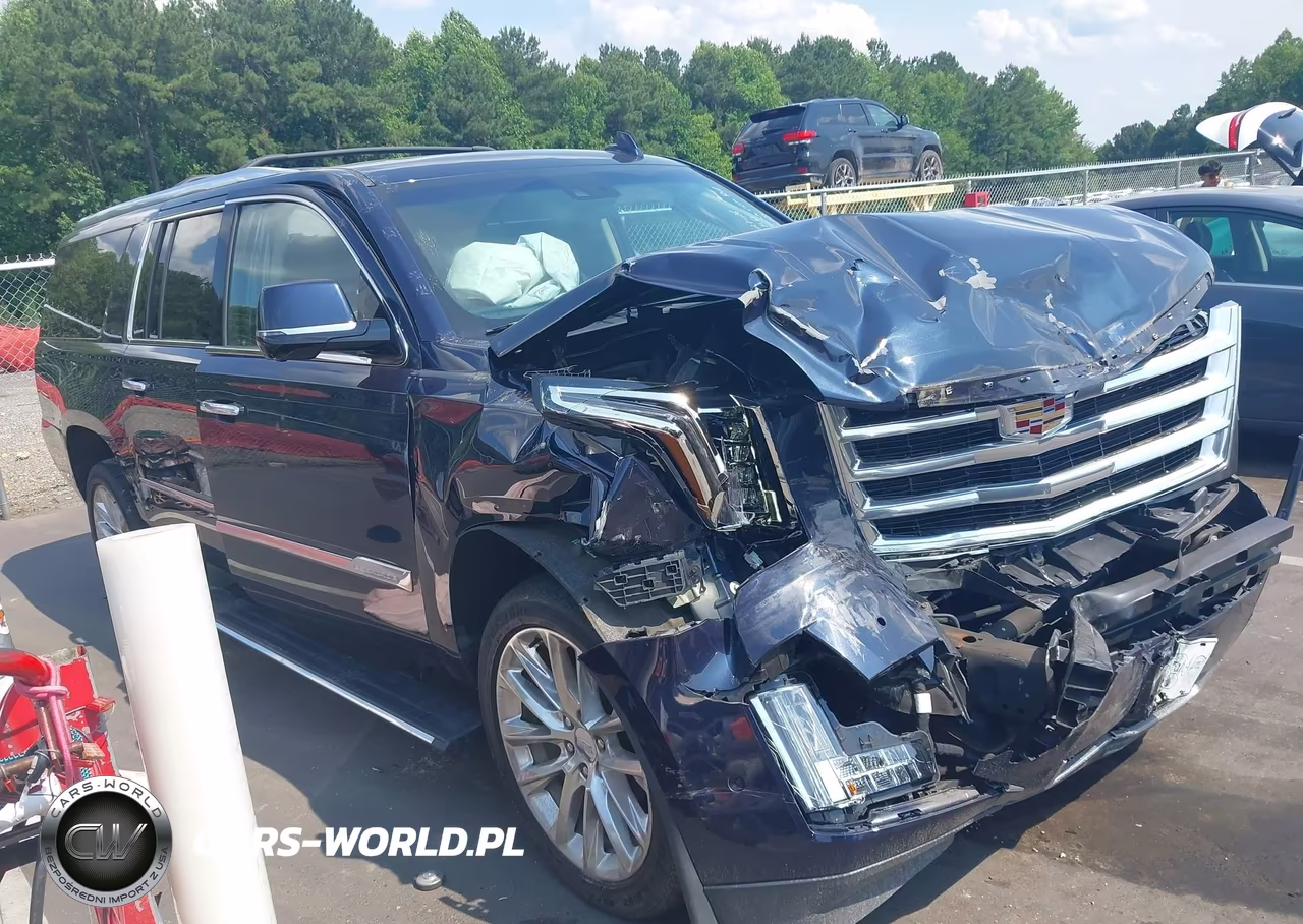 2019 Cadillac Escalade Esv Premium Luxury VIN:1GYS4JKJ1KR168019 - 13