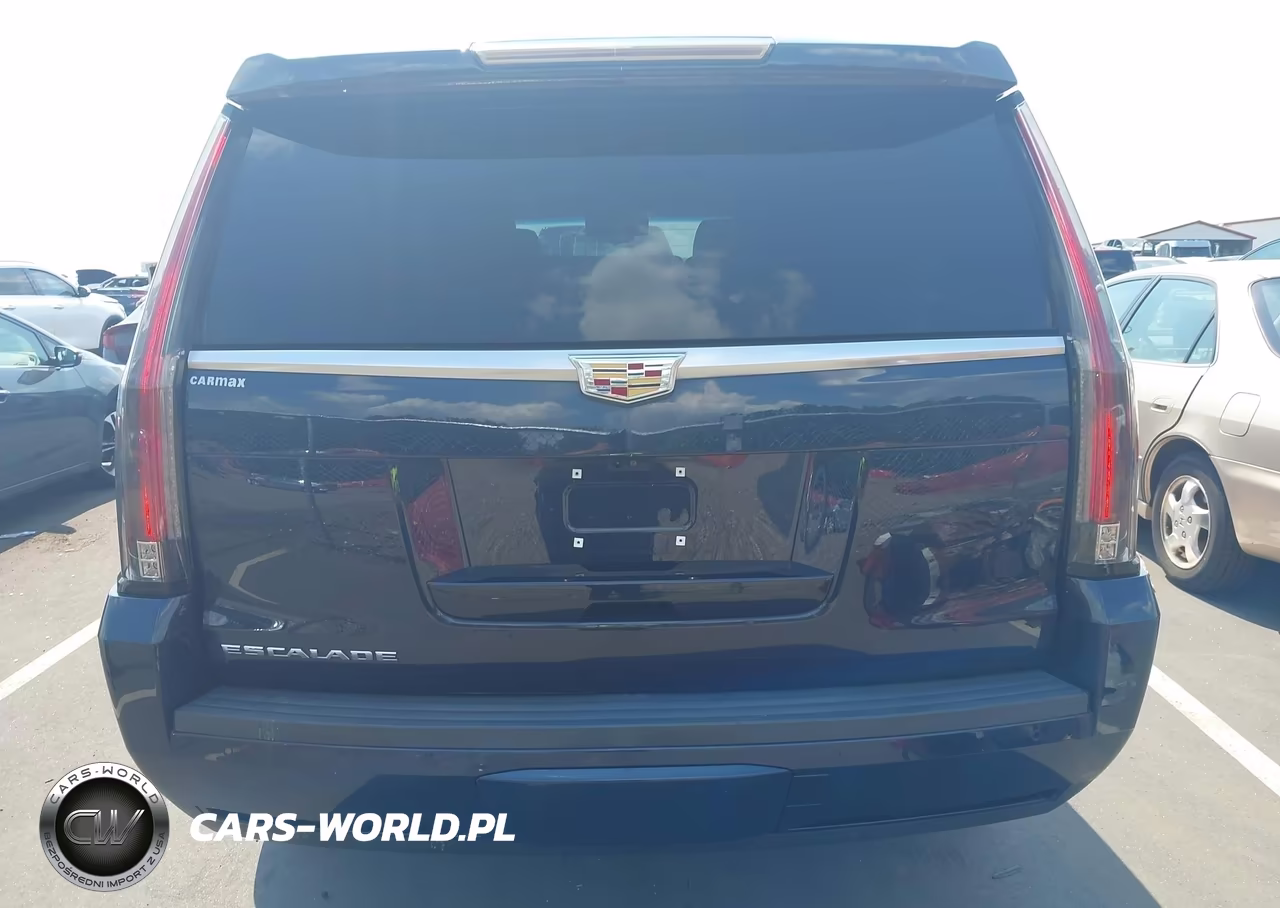 2019 Cadillac Escalade Esv Premium Luxury VIN:1GYS4JKJ1KR168019 - 16