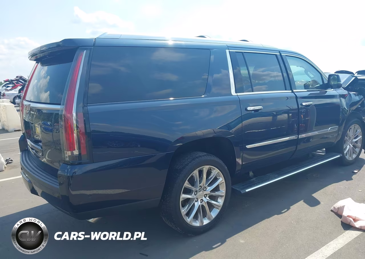2019 Cadillac Escalade Esv Premium Luxury VIN:1GYS4JKJ1KR168019 - 4