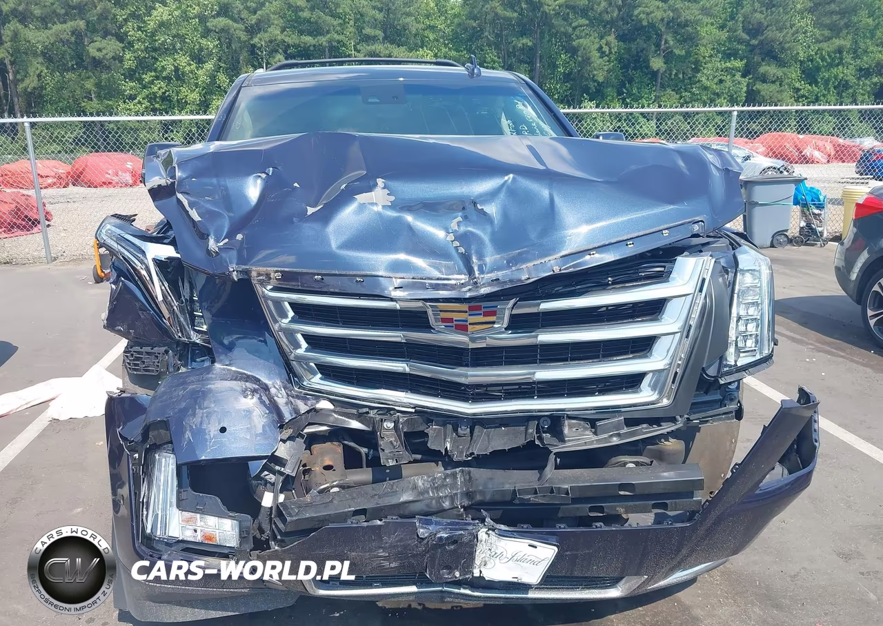 2019 Cadillac Escalade Esv Premium Luxury VIN:1GYS4JKJ1KR168019 - 6