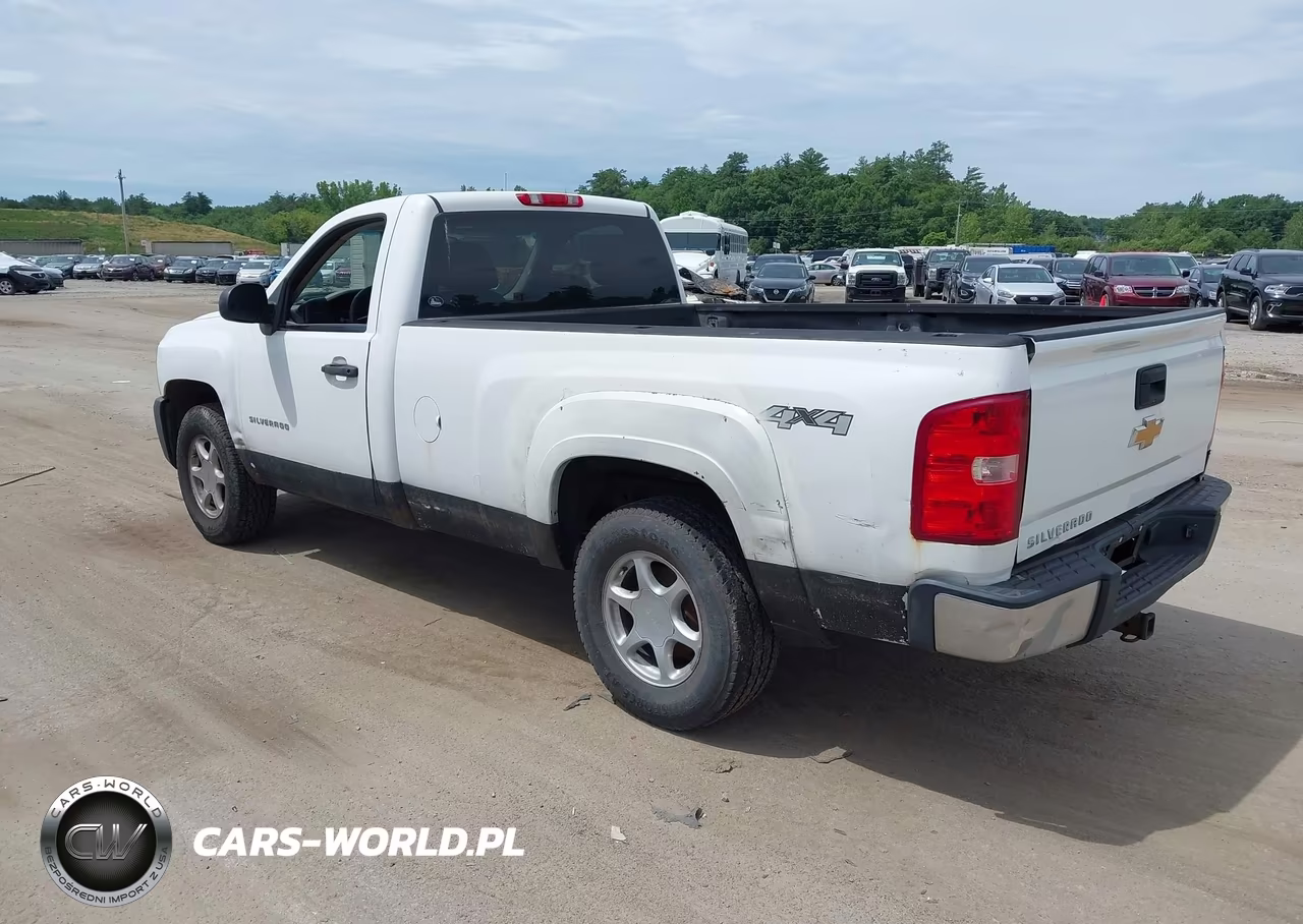 2012 Chevrolet Silverado 1500 Work Truck VIN:1GCNKPEX6CZ245660 - 3