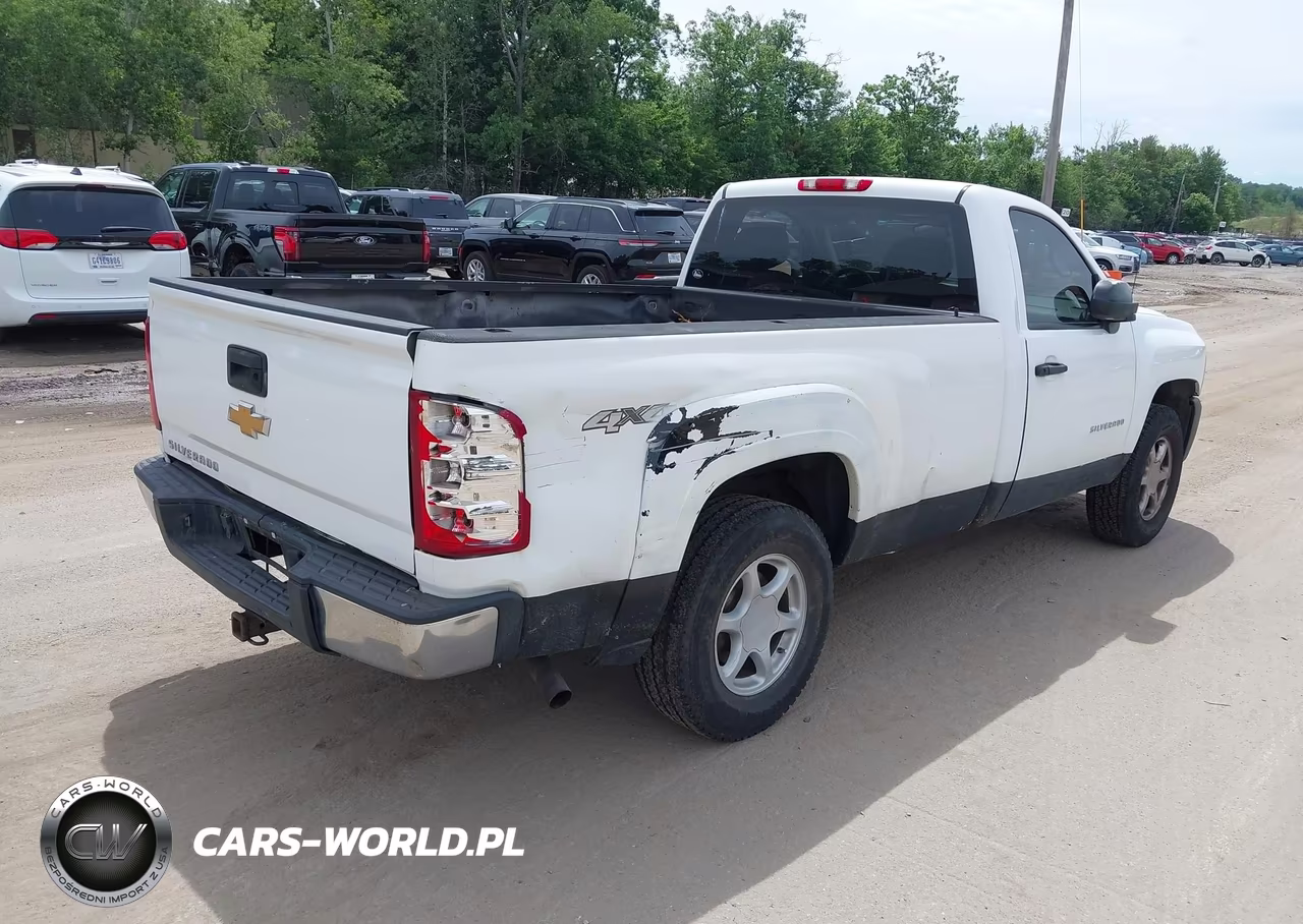 2012 Chevrolet Silverado 1500 Work Truck VIN:1GCNKPEX6CZ245660 - 4