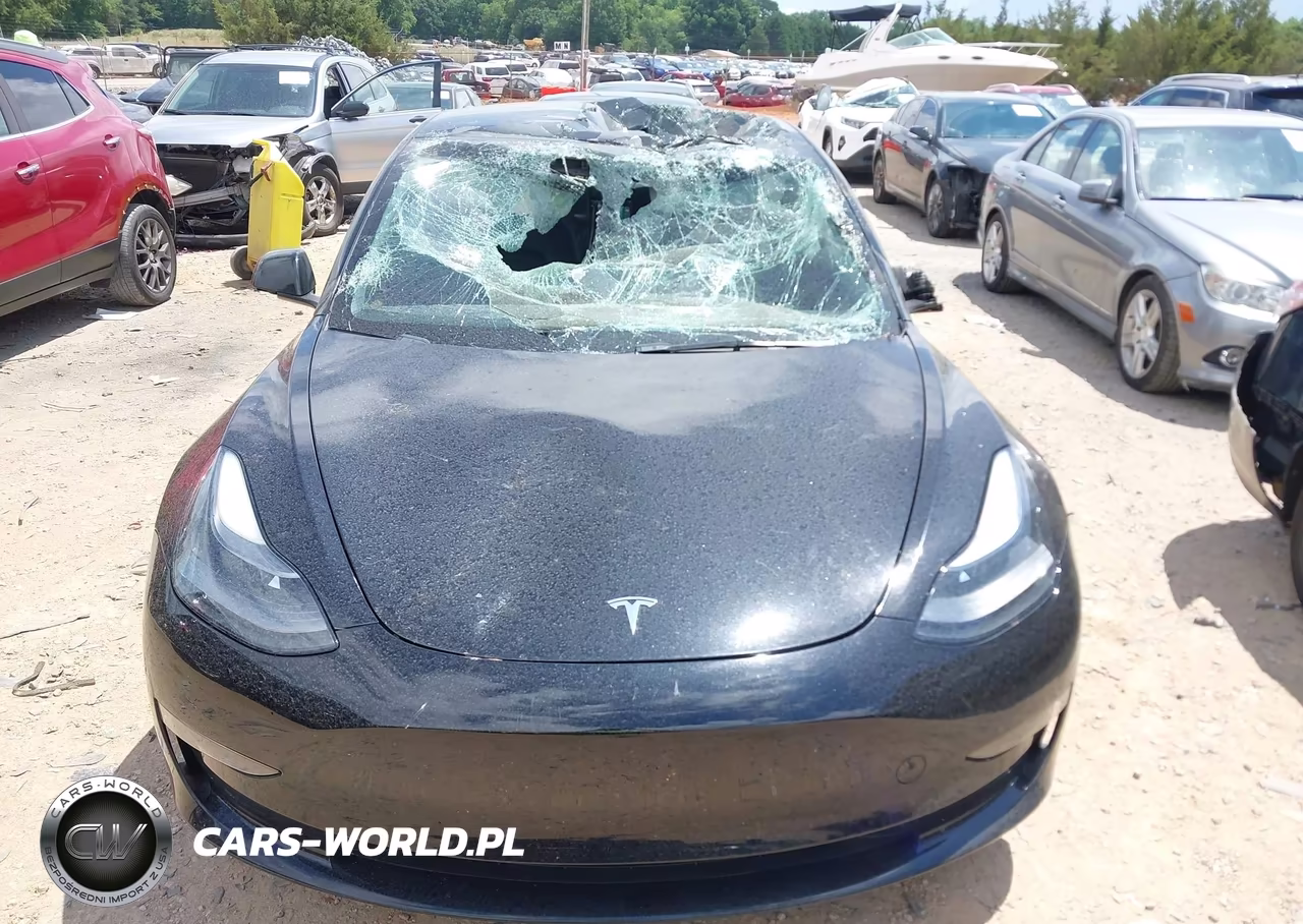 2023 Tesla Model 3 Rear-Wheel Drive VIN:5YJ3E1EA1PF502369 - 11