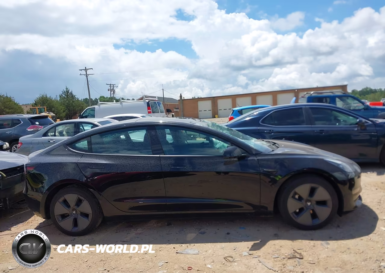 2023 Tesla Model 3 Rear-Wheel Drive VIN:5YJ3E1EA1PF502369 - 12