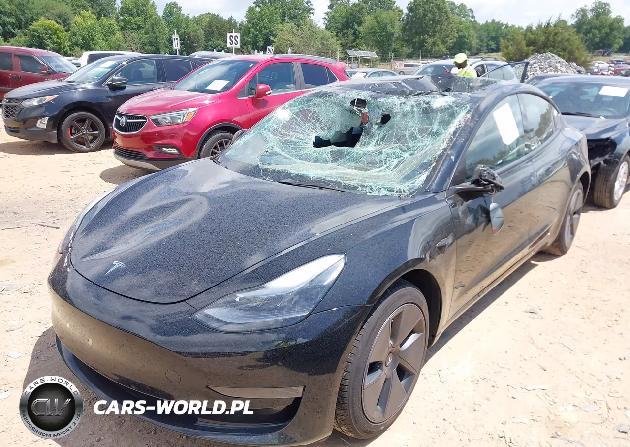 2023 Tesla Model 3 Rear-Wheel Drive VIN:5YJ3E1EA1PF502369 - 2