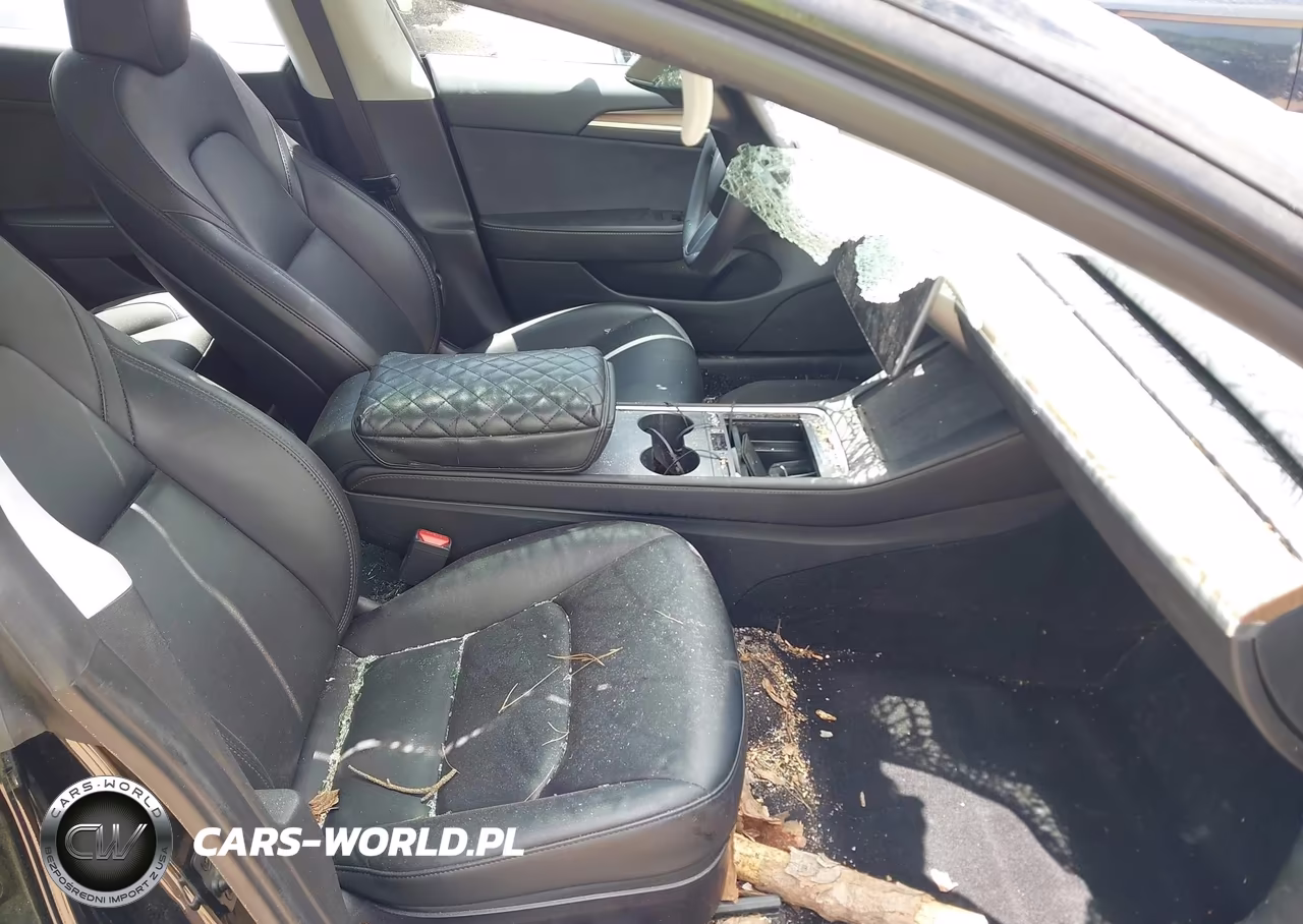 2023 Tesla Model 3 Rear-Wheel Drive VIN:5YJ3E1EA1PF502369 - 5