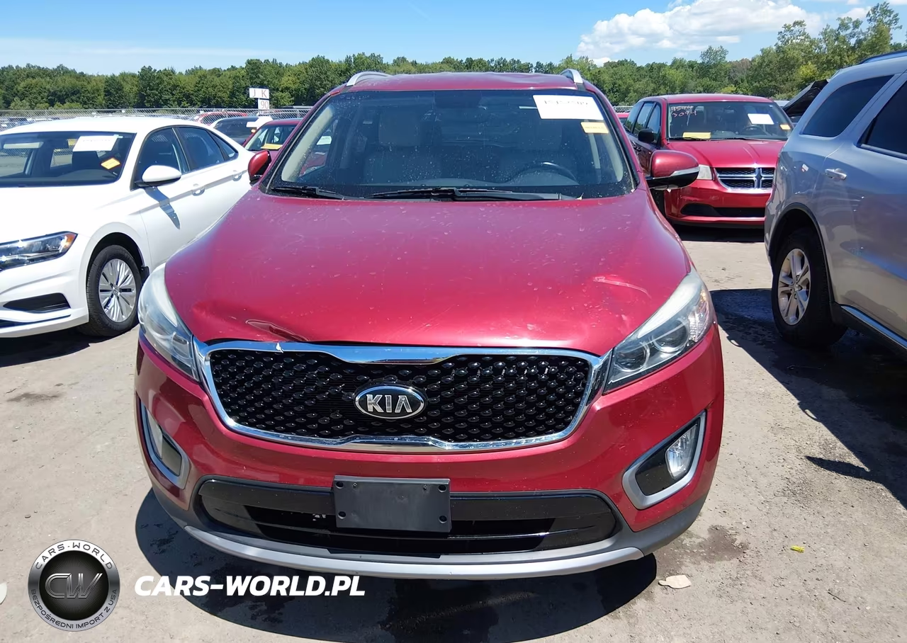 2017 Kia Sorento 3.3L Ex VIN:5XYPH4A57HG251385 - 12