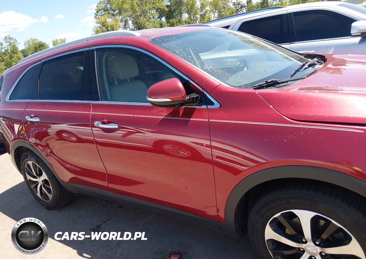 2017 Kia Sorento 3.3L Ex VIN:5XYPH4A57HG251385 - 13