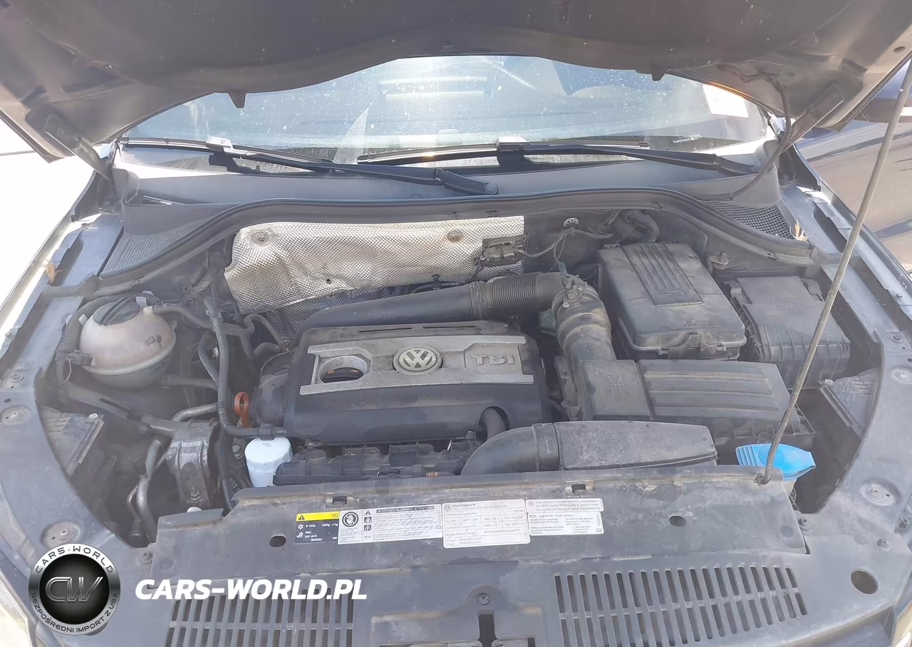 2013 Volkswagen Tiguan Sel VIN:WVGBV3AXXDW584347 - 10
