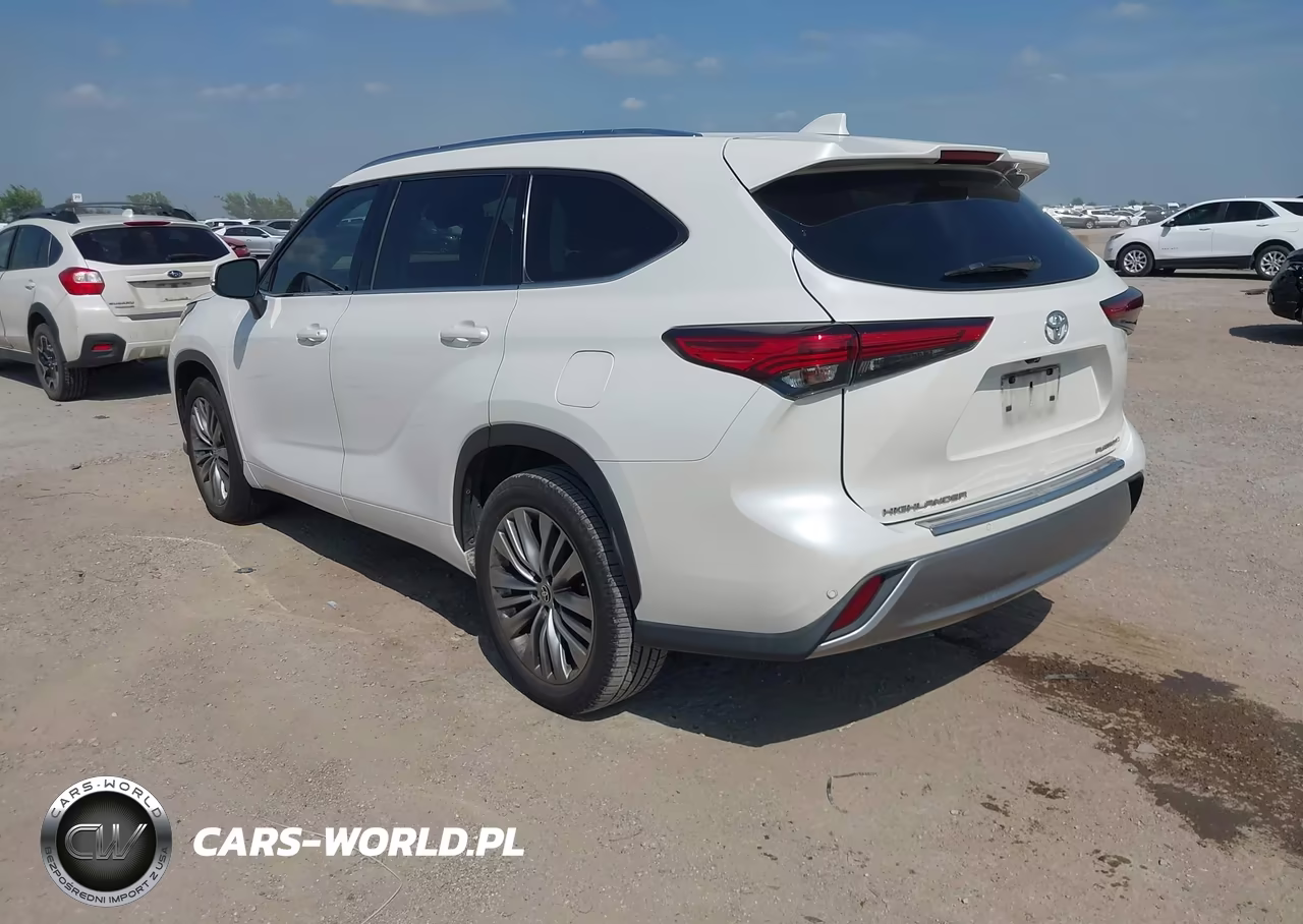 2020 Toyota Highlander Platinum VIN:5TDFZRAH7LS016660 - 3
