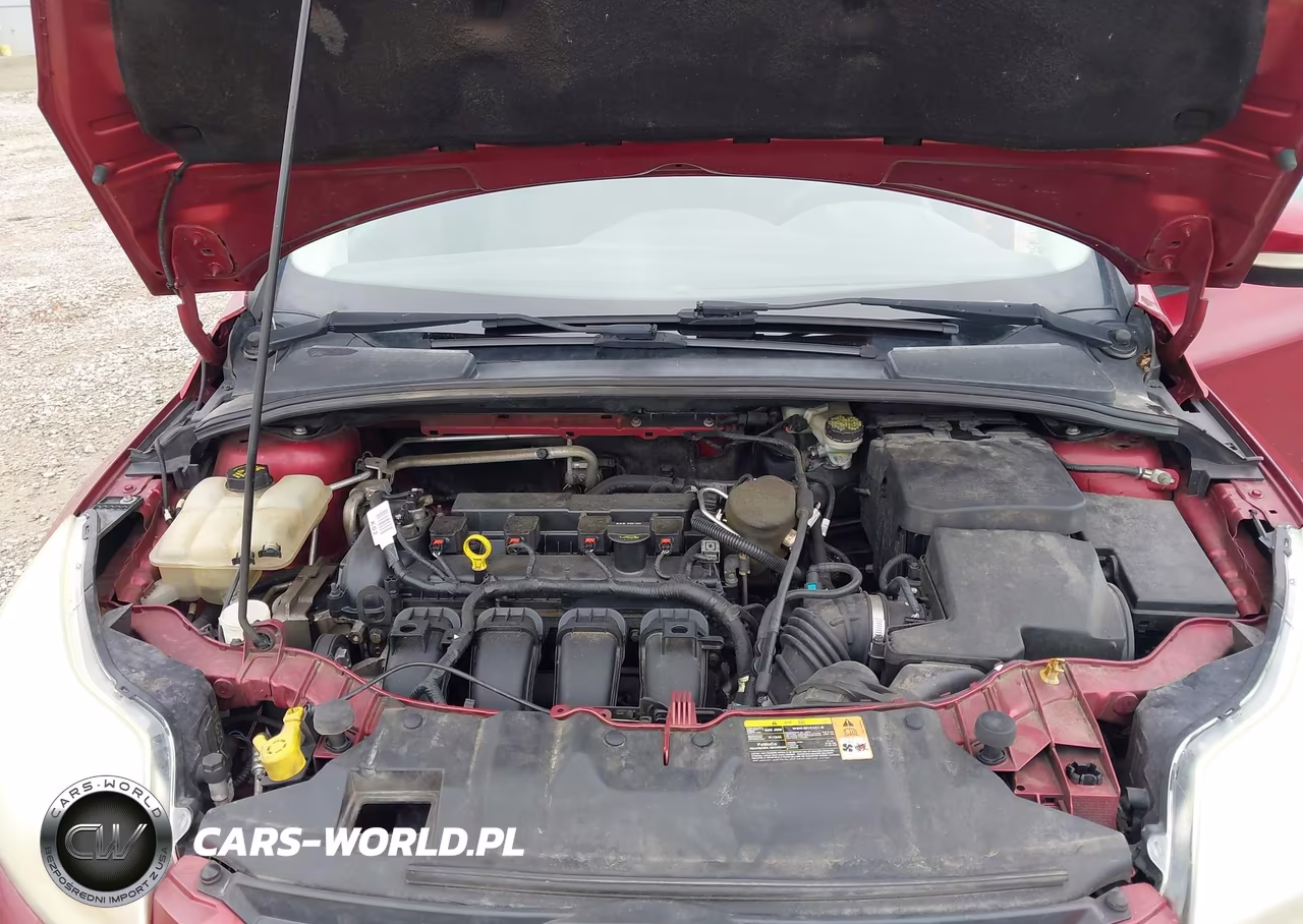 2014 Ford Focus Se VIN:1FADP3K22EL153214 - 10