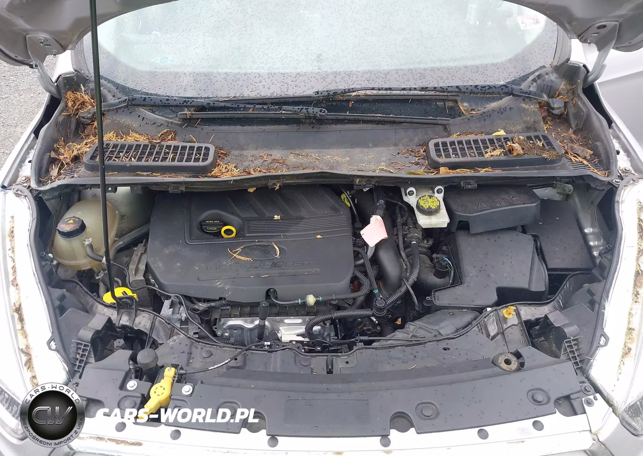2017 Ford Escape Se VIN:1FMCU0GD3HUF03077 - 10