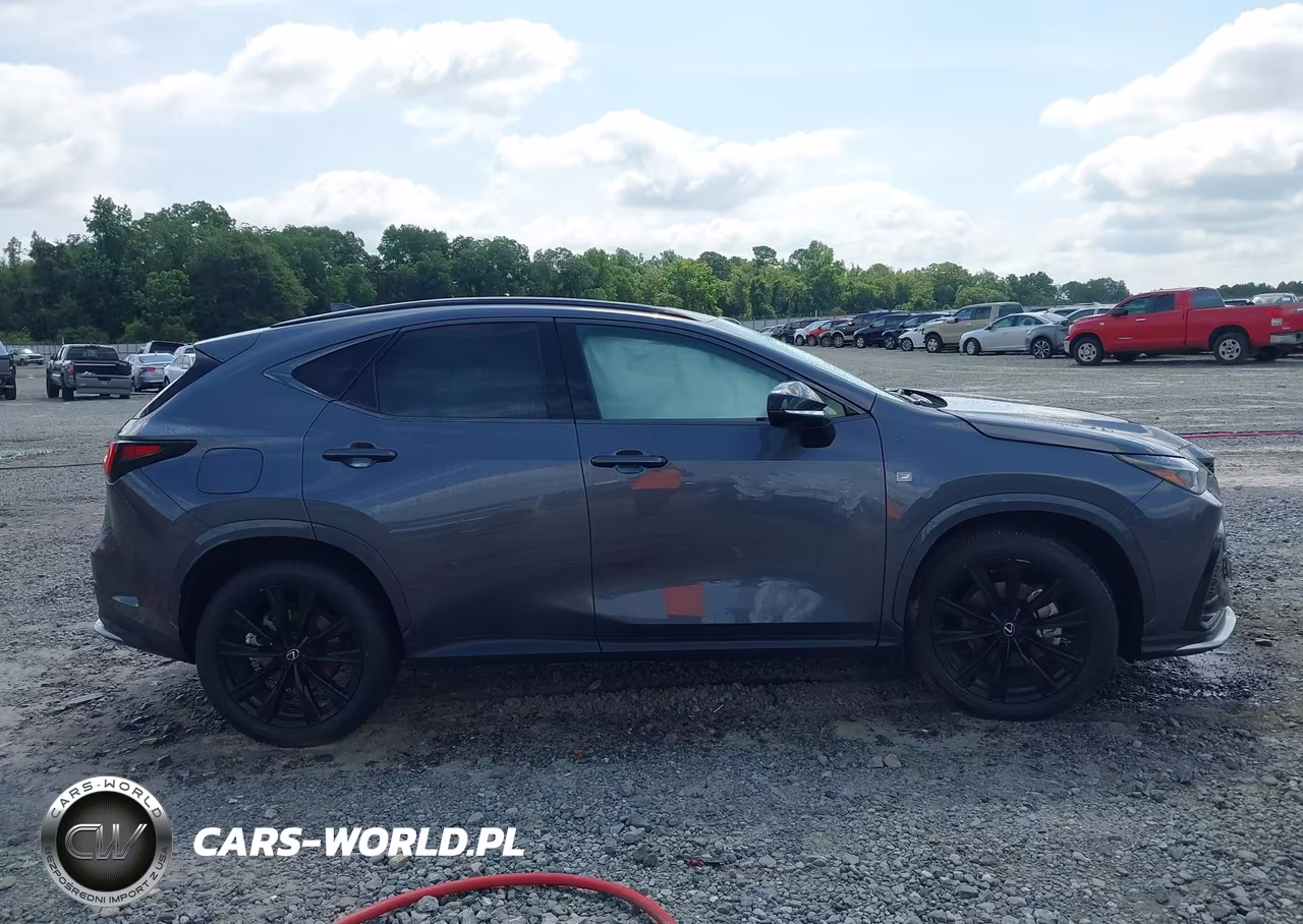 2024 Lexus Nx 450H+ F Sport Handling VIN:JTJKKCFZ4R2030305 - 13