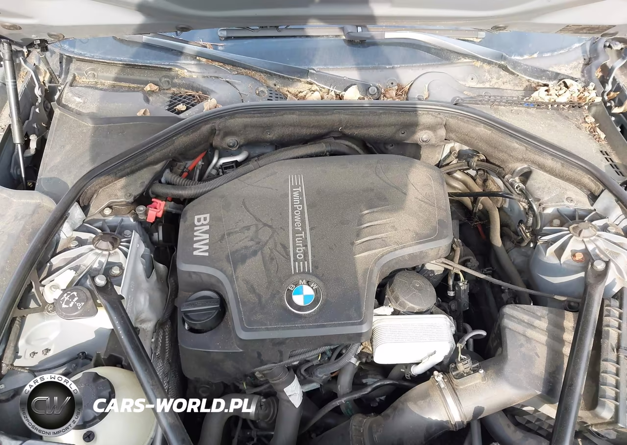 2013 BMW 528I VIN:WBAXG5C53DD234143 - 10