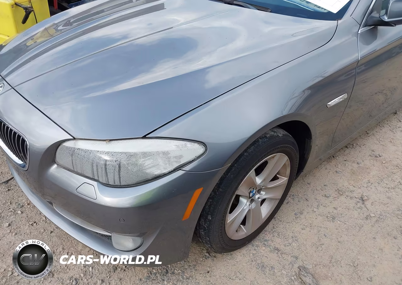 2013 BMW 528I VIN:WBAXG5C53DD234143 - 6