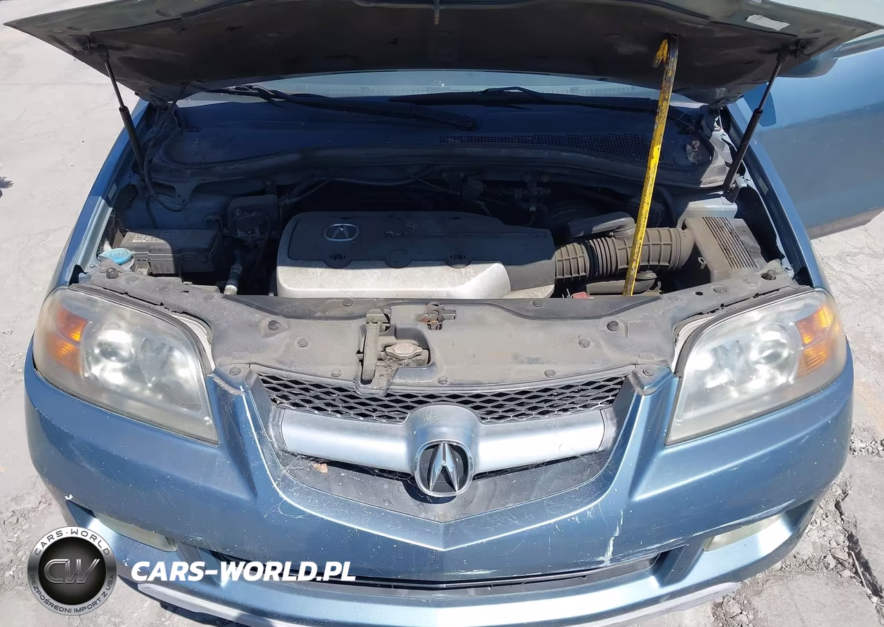 2005 Acura Mdx VIN:2HNYD18845H504376 - 10