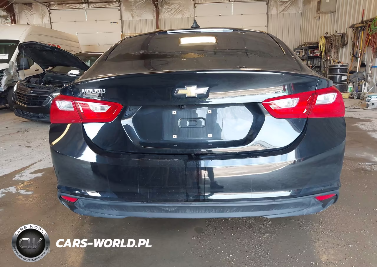 2021 Chevrolet Malibu Fwd 1Fl VIN:1G1ZC5ST1MF001799 - 17