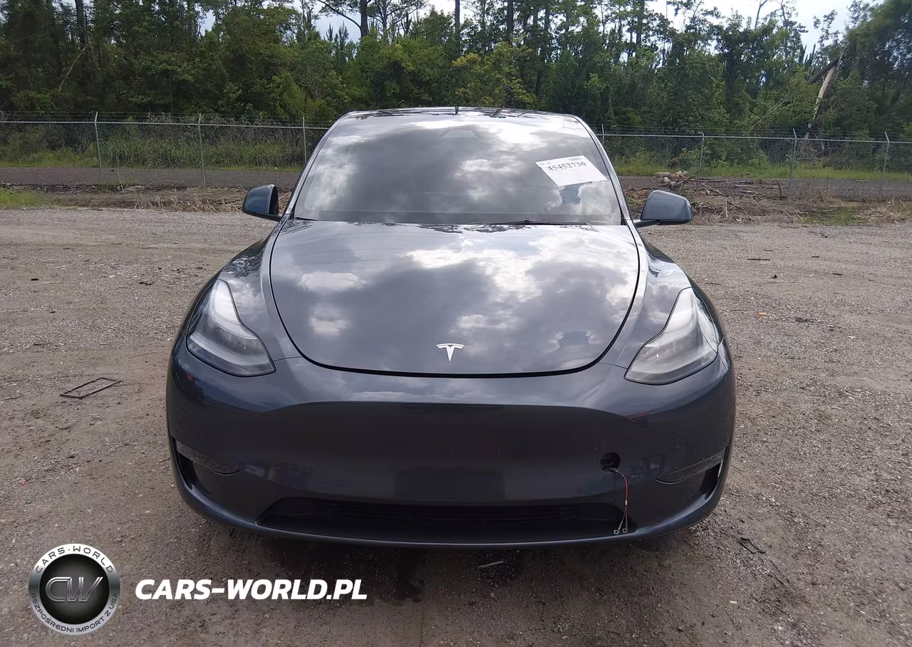 2023 Tesla Model Y Rwd VIN:7SAYGDED5PF945977 - 12