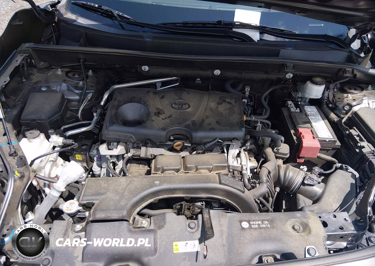 2019 Toyota Rav4 Le VIN:2T3H1RFV4KC031677 - 10