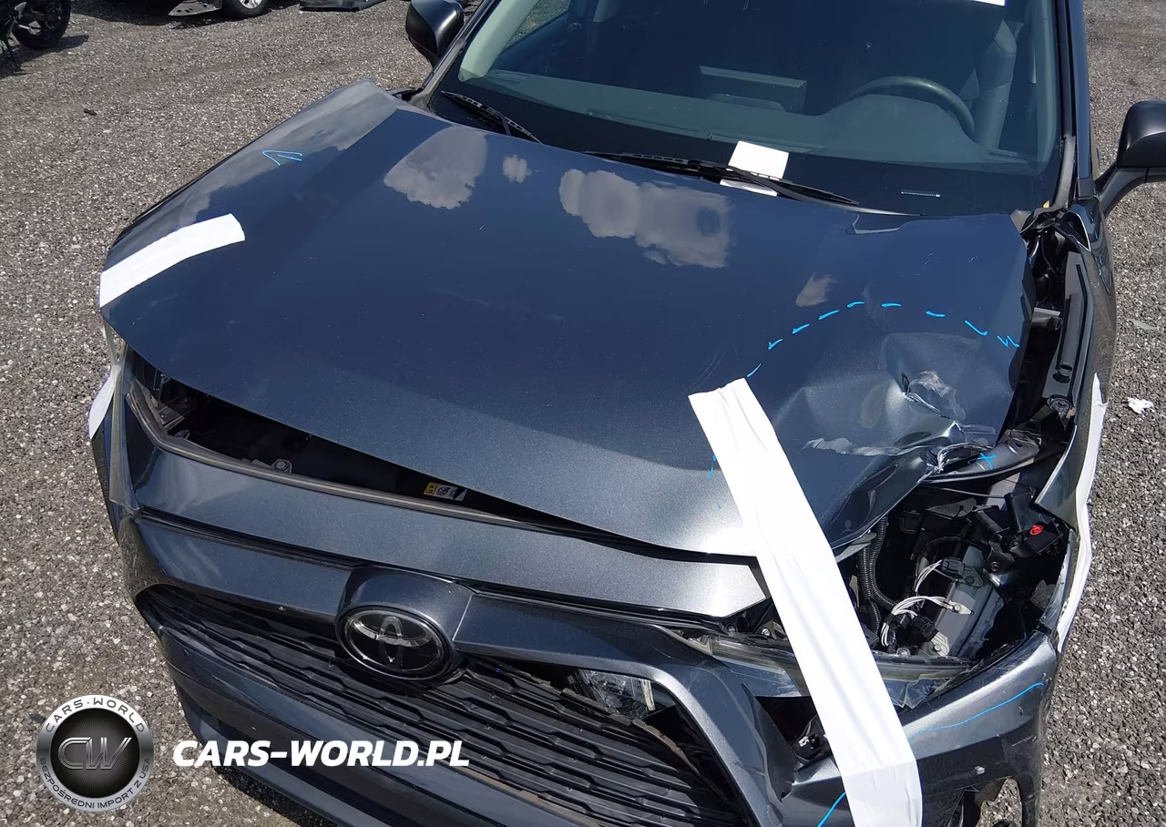 2019 Toyota Rav4 Le VIN:2T3H1RFV4KC031677 - 20