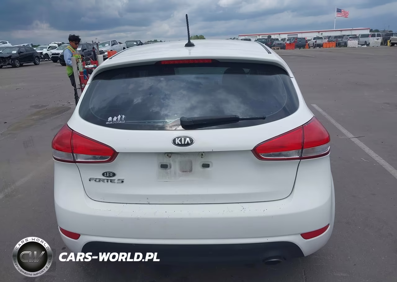 2017 Kia Forte Lx VIN:KNAFK5A88H5718221 - 16