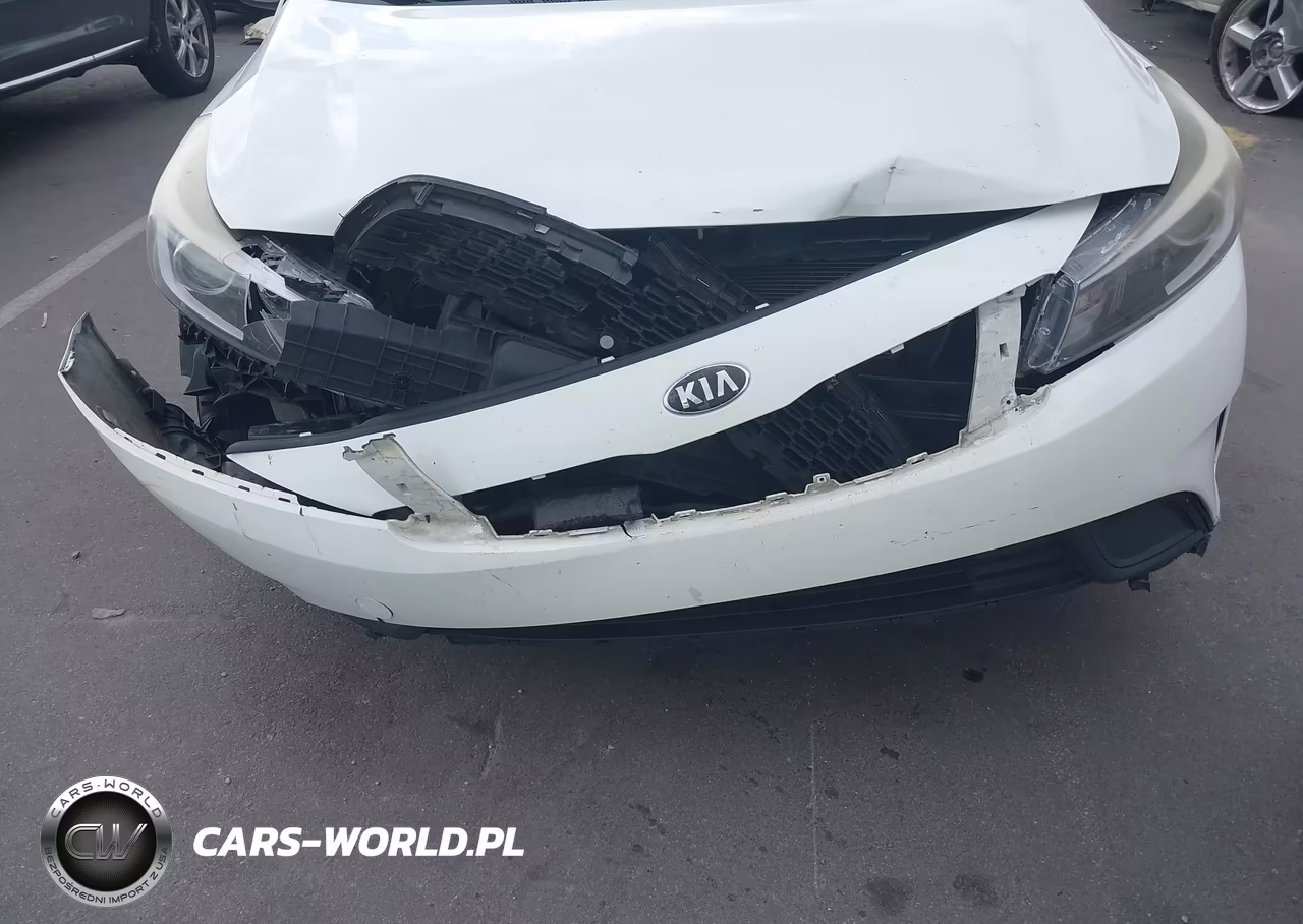 2017 Kia Forte Lx VIN:KNAFK5A88H5718221 - 6