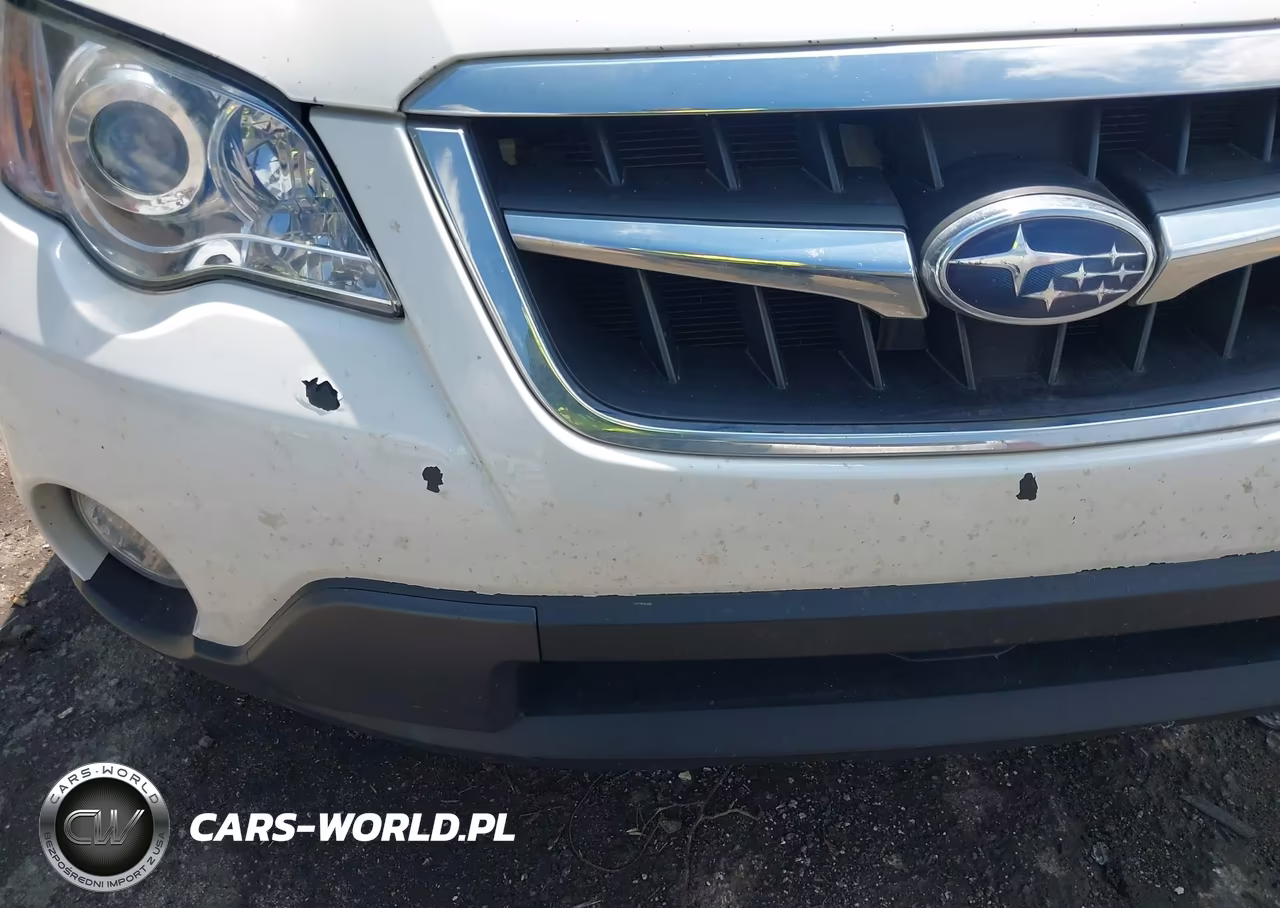 2009 Subaru Outback 2.5I VIN:4S4BP61C097311296 - 13
