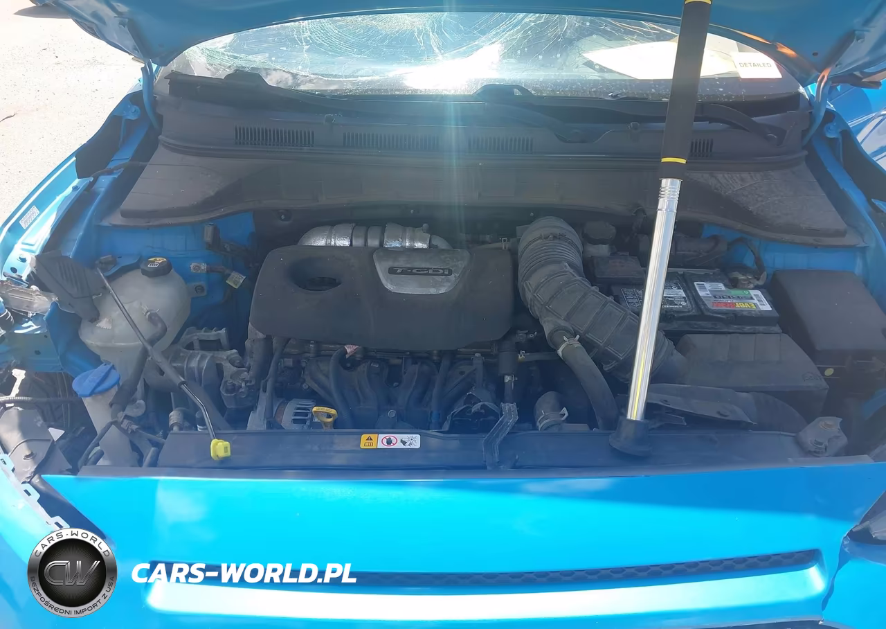 2019 Hyundai Kona Ultimate VIN:KM8K53A55KU198569 - 10