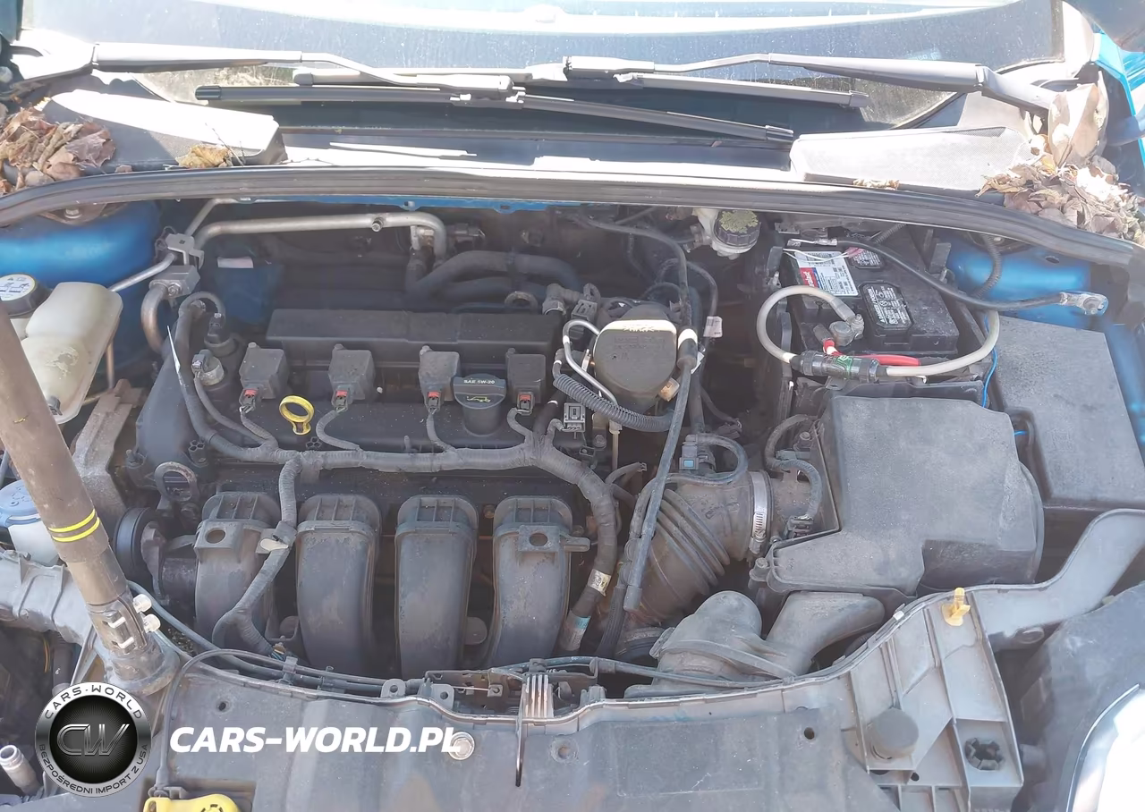 2013 Ford Focus Se VIN:1FADP3K24DL261543 - 10