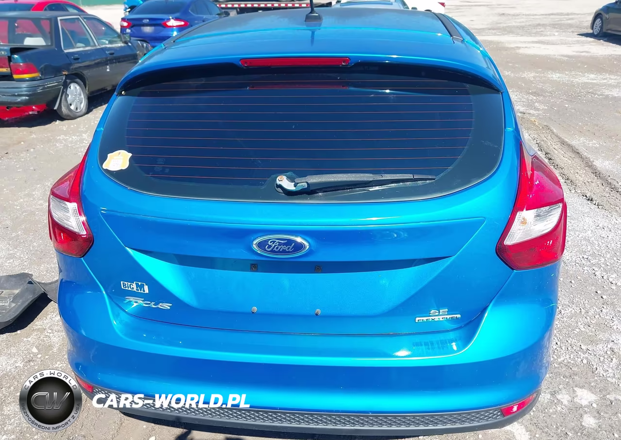 2013 Ford Focus Se VIN:1FADP3K24DL261543 - 17