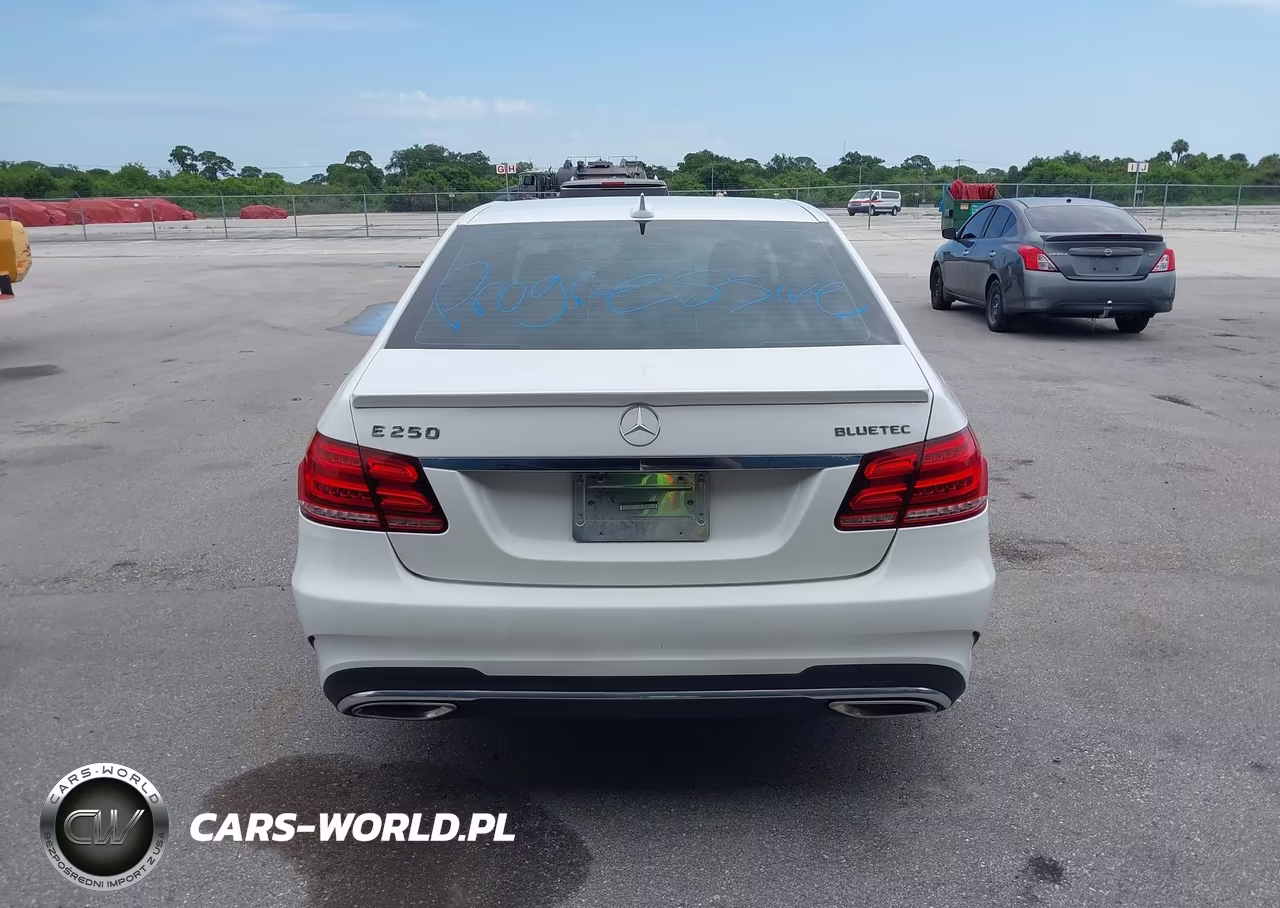 2014 Mercedes-Benz E 250 Bluetec 4Matic VIN:WDDHF9HB0EA881592 - 16