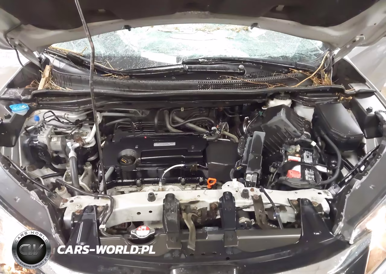2016 Honda Cr-V Lx VIN:2HKRM4H34GH663828 - 10