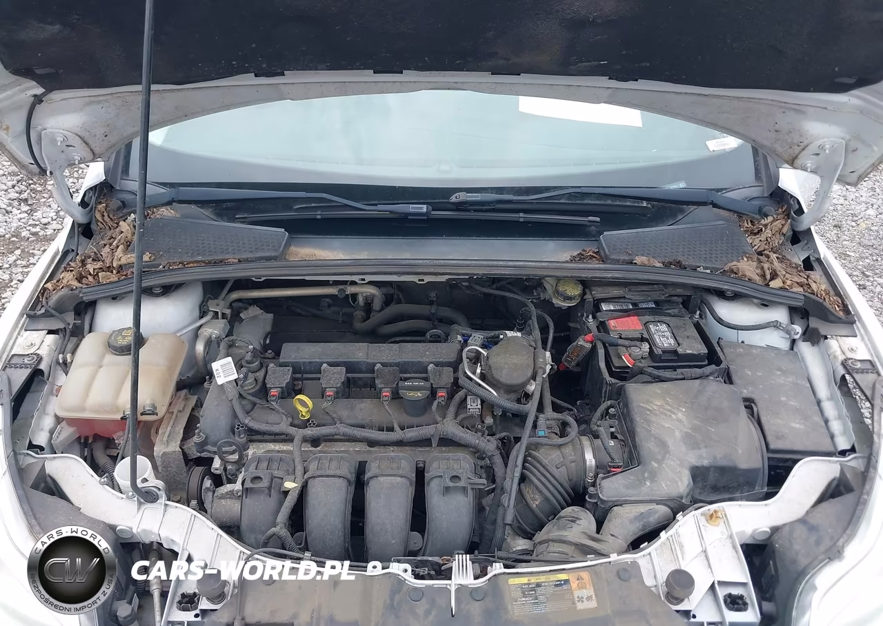 2014 Ford Focus Se VIN:1FADP3K22EL262661 - 10