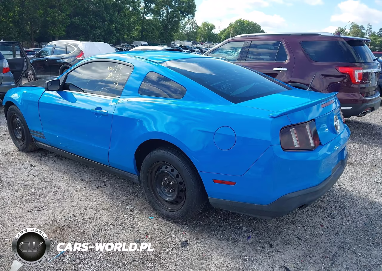 2012 Ford Mustang V6-V6 Premium VIN:1ZVBP8AM7C5266317 - 3