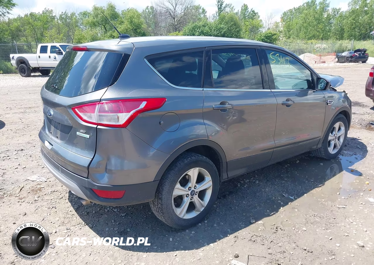 2014 Ford Escape Se VIN:1FMCU0G98EUD73174 - 4
