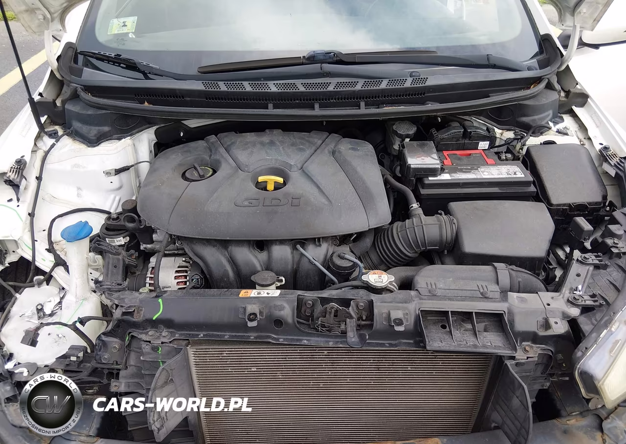 2016 Kia Forte Ex-Lx VIN:KNAFX5A85G5626581 - 10