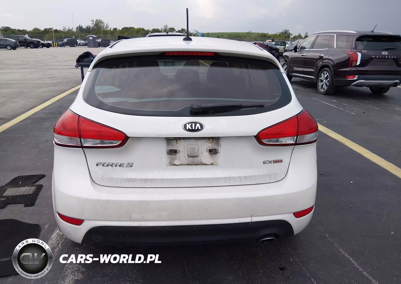 2016 Kia Forte Ex-Lx VIN:KNAFX5A85G5626581 - 16