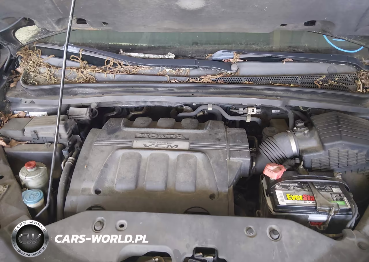 2008 Honda Odyssey Ex-L VIN:5FNRL38648B116517 - 10