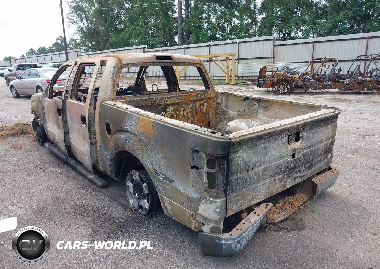 2010 Ford F-150 VIN:1FTEW1C89AKE75678 - 3